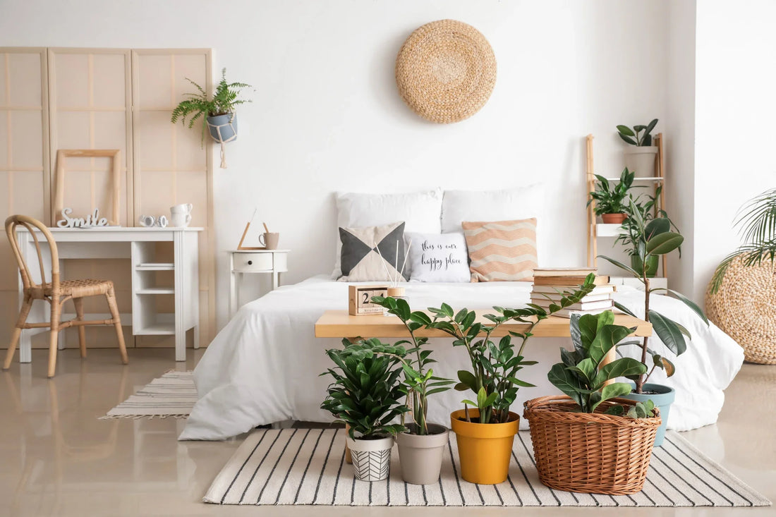 Schönes Boho Schlafzimmer dekoriert mit mehreren allergikerfreundlichen Pflanzen