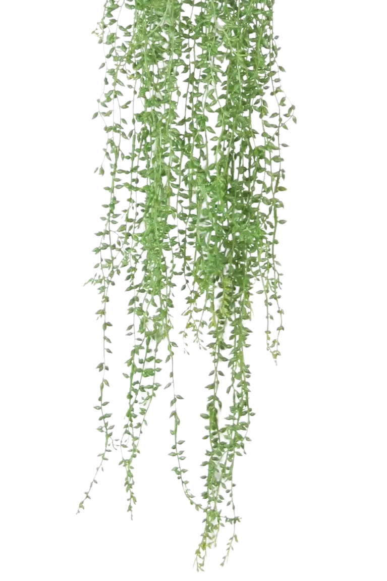 Künstliche Erbsenpflanze - Karina, 70 cm, Kunstpflanze von aplanta, inkl. Dekotopf, in Natur, für drinnen