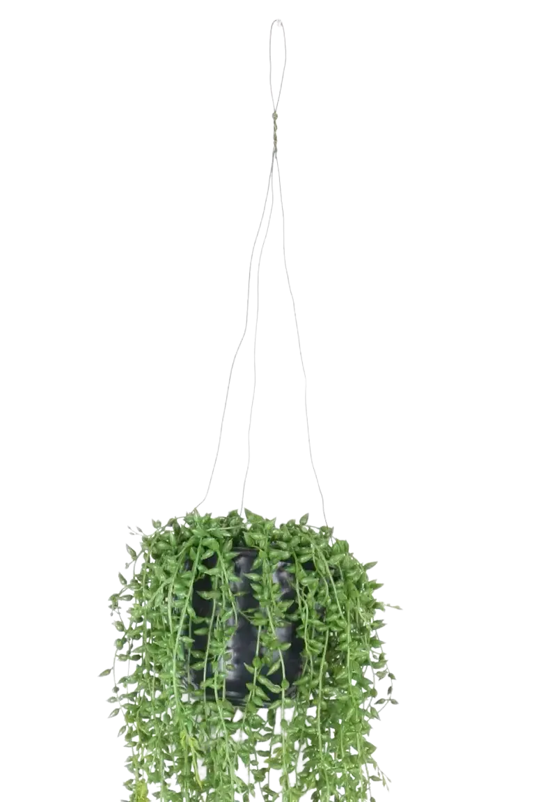 Künstliche Erbsenpflanze - Karina, 70 cm, Kunstpflanze von aplanta, inkl. Dekotopf, in Natur, für drinnen