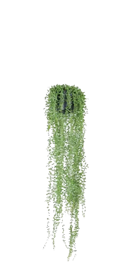 Künstliche Erbsenpflanze - Karina, 70 cm, Kunstpflanze von aplanta, inkl. Dekotopf, in Natur, für drinnen