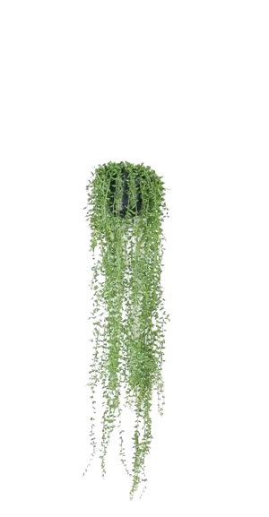 Künstliche Erbsenpflanze - Karina, 70 cm, Kunstpflanze von aplanta, inkl. Dekotopf, in Natur, für drinnen