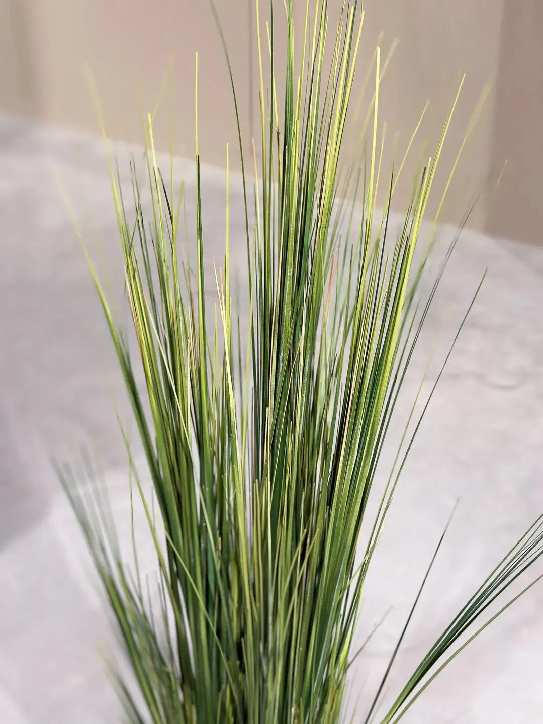 Künstliches Gras - Hanno, 90 cm, Kunstpflanze von aplanta, im schwarzen Topf, in Natur, für drinnen