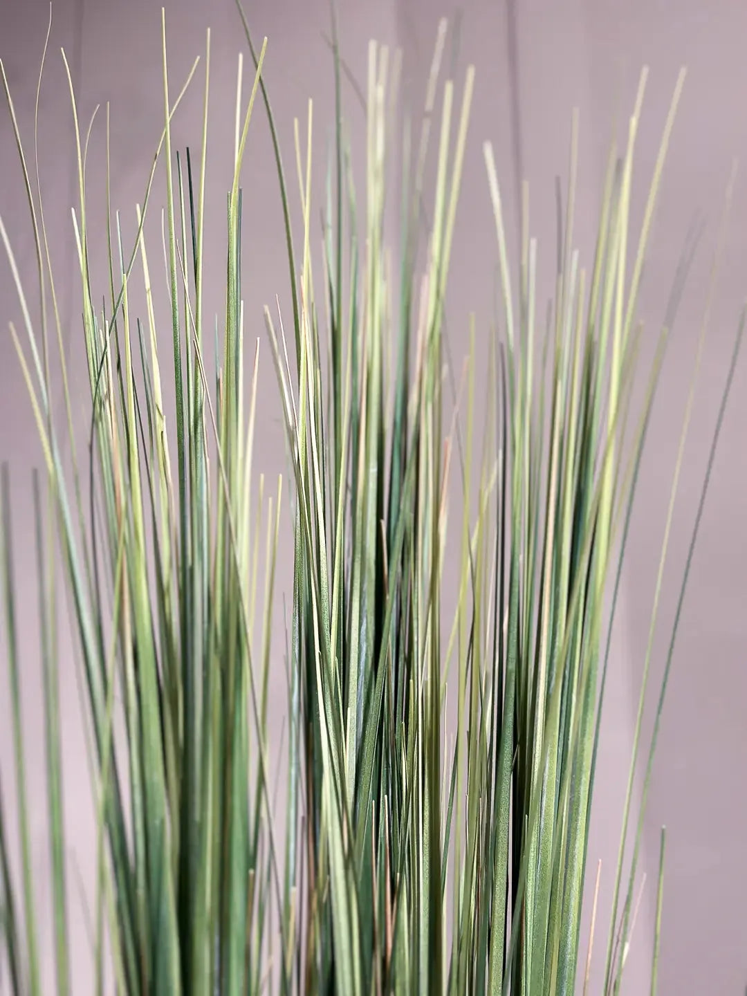 Künstliches Gras - Hanno, 90 cm, Kunstpflanze von aplanta, im schwarzen Topf, in Natur, für drinnen