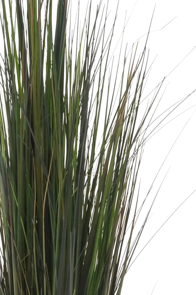 Künstliches Gras - Hanno, 90 cm, Kunstpflanze von aplanta, im schwarzen Topf, in Natur, für drinnen
