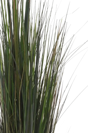 Künstliches Gras - Hanno, 90 cm, Kunstpflanze von aplanta, im schwarzen Topf, in Natur, für drinnen