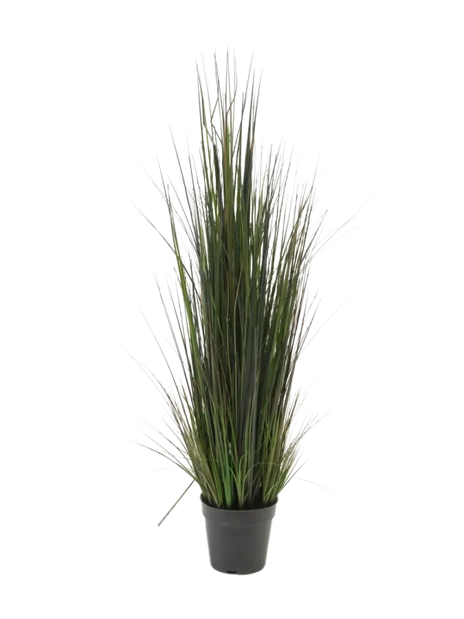 Künstliches Gras - Hanno, 90 cm, Kunstpflanze von aplanta, im schwarzen Topf, in Natur, für drinnen