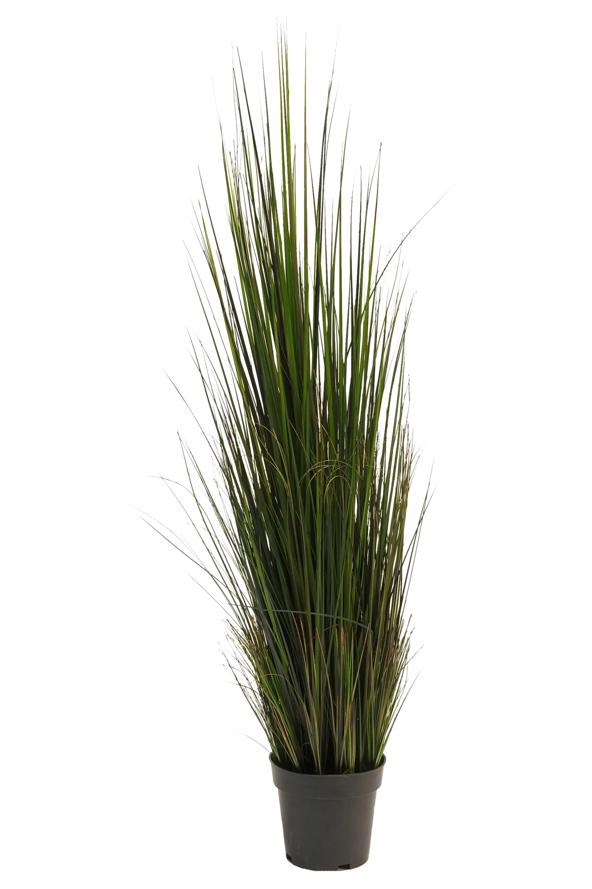 Künstliches Gras - Hanno, 120 cm, Kunstpflanze von aplanta, in Grün, für drinnen