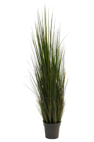 Künstliches Gras - Hanno, 120 cm, Kunstpflanze von aplanta, in Grün, für drinnen