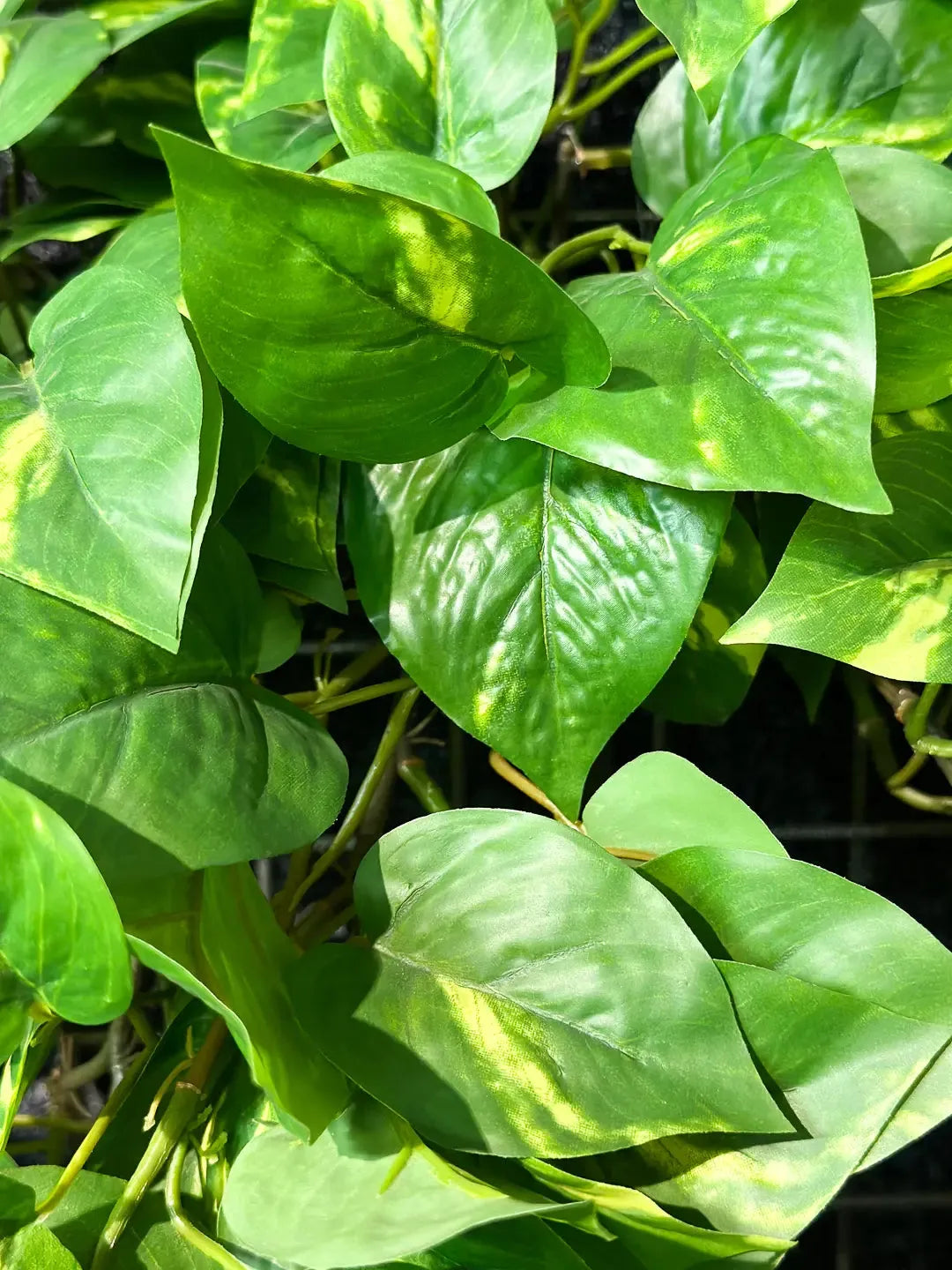 Künstlicher Hänge-Pothos - Bella, 85 cm, Kunstpflanze von aplanta, Steckpflanze, in Natur, für drinnen