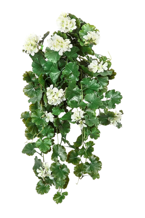 Künstliche Hängegeranie - Petunia, 66 cm, Kunstblume von aplanta, UV-beständig, Steckpflanze, in Creme, für draußen
