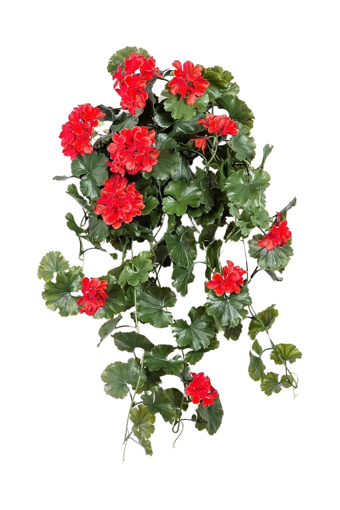 Künstliche Hängegeranie - Draco, 66 cm, Kunstblume von aplanta, UV-beständig, Steckpflanze, in Rot, für draußen