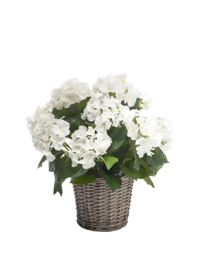 Künstliche Hortensie - Lenny, 45 cm, Kunstblume von aplanta, inkl. Dekotopf, in Natur, für drinnen