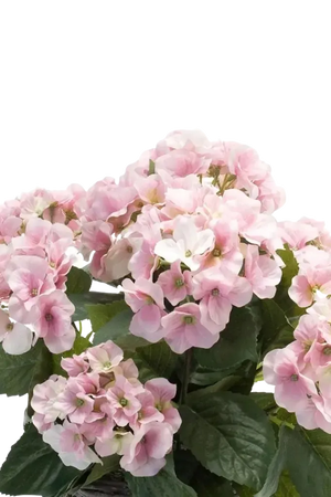 Künstliche Hortensie - Lennard, 45 cm, Kunstblume von aplanta, inkl. Dekotopf, in Natur, für drinnen