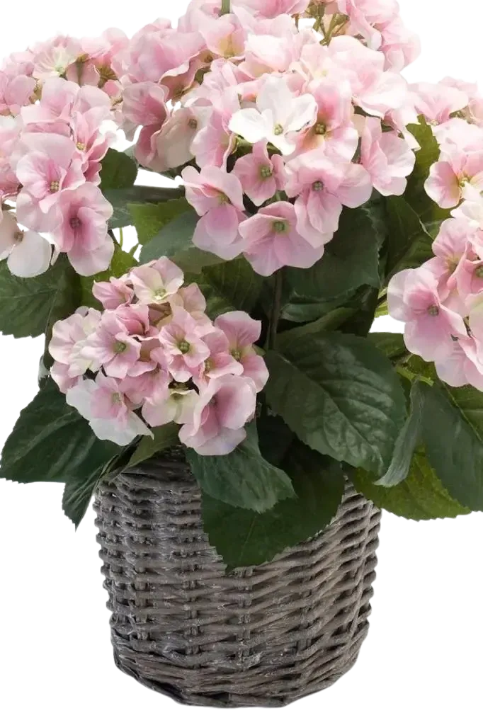 Künstliche Hortensie - Lennard, 45 cm, Kunstblume von aplanta, inkl. Dekotopf, in Natur, für drinnen