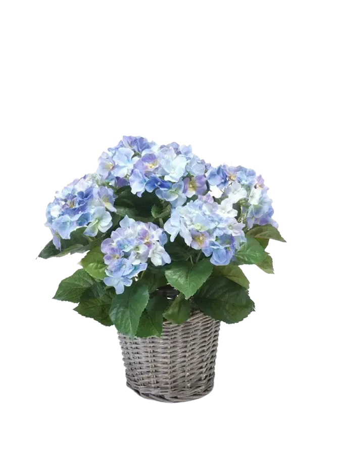 Künstliche Hortensie - Levi, 45 cm, Kunstblume von aplanta, in Natur, für drinnen