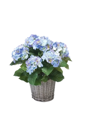 Künstliche Hortensie - Levi, 45 cm, Kunstblume von aplanta, in Natur, für drinnen