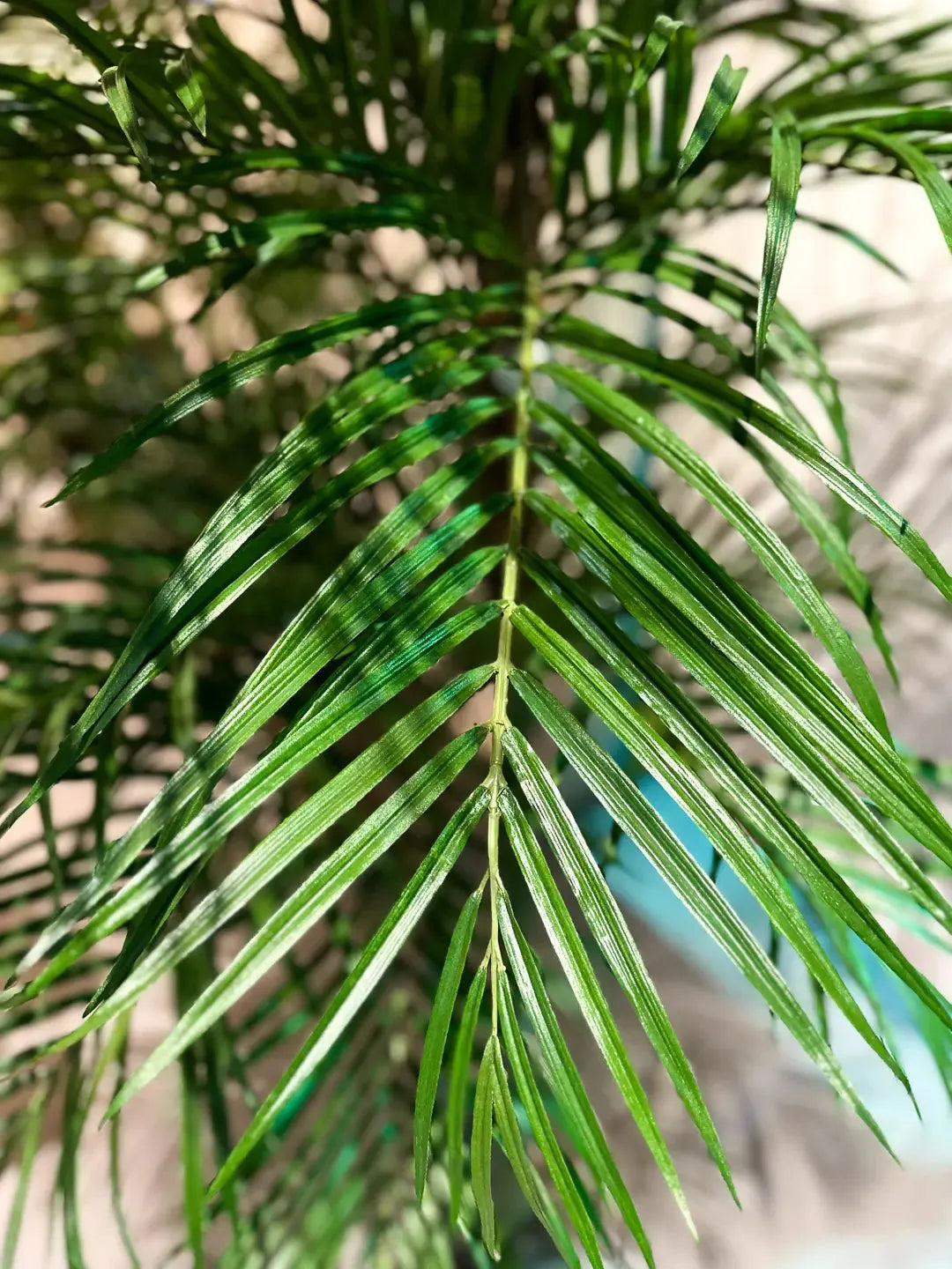 Künstliche Areca Palme - Christine, 210 cm, Kunstbaum von aplanta, im schwarzen Topf, in Natur, für drinnen