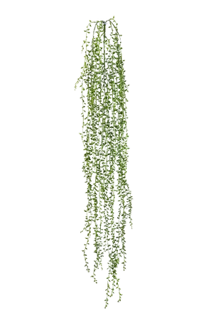 Künstliche Erbsenpflanze - Eric, 85 cm, Kunstpflanze von aplanta, Steckpflanze, in Natur, für drinnen