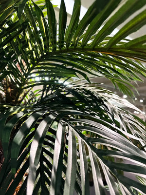 Künstliche Dattelpalme - Fabienne, 150 cm, Kunstbaum von aplanta, in Natur, für drinnen