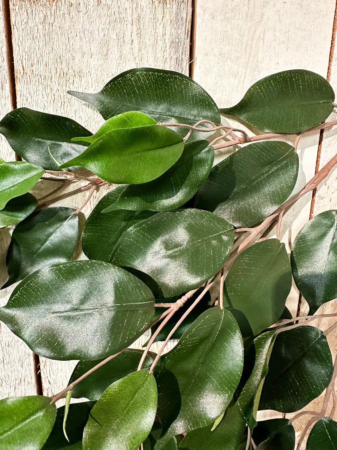 Künstlicher Ficus-Zweig - Georgia, Kunstpflanze von aplanta, Steckpflanze, in Natur, für drinnen