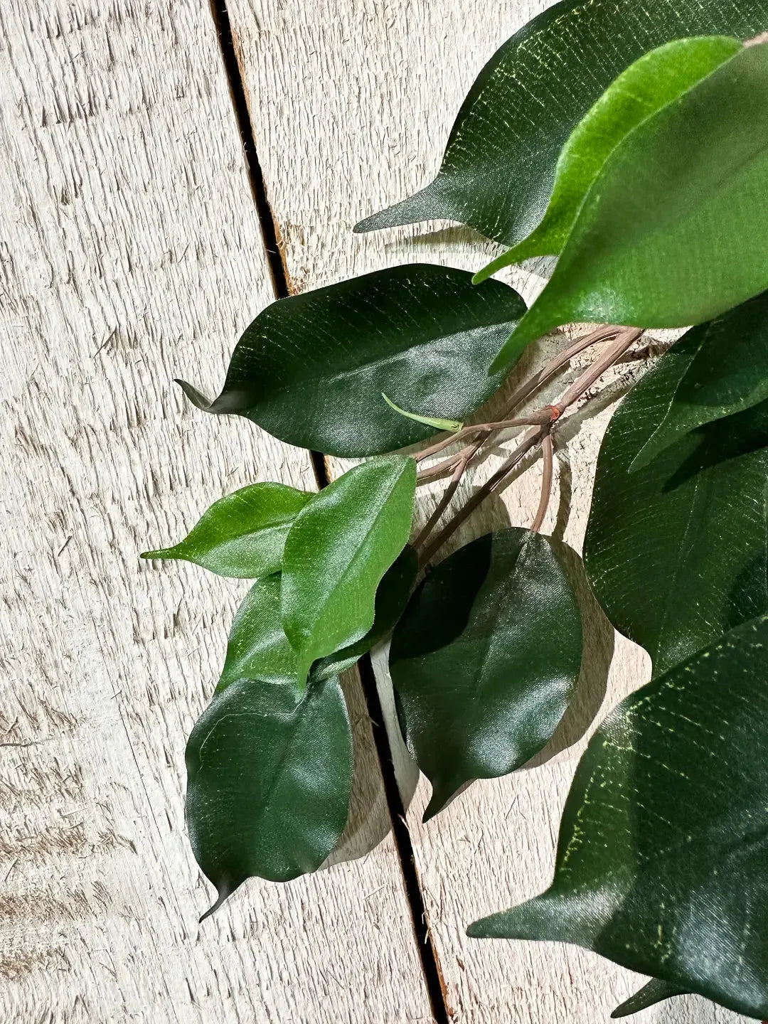 Künstlicher Ficus-Zweig - Georgia, Kunstpflanze von aplanta, Steckpflanze, in Natur, für drinnen