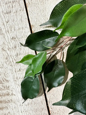 Künstlicher Ficus-Zweig - Georgia, Kunstpflanze von aplanta, Steckpflanze, in Natur, für drinnen