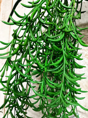 Künstliche Hänge-Sukkulente - Henriette, 45 cm, Kunstpflanze von aplanta, Steckpflanze, in Natur, für drinnen