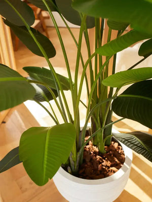 Künstliche Strelitzia - Josephine, 230 cm, Kunstbaum von aplanta, in Natur, für drinnen