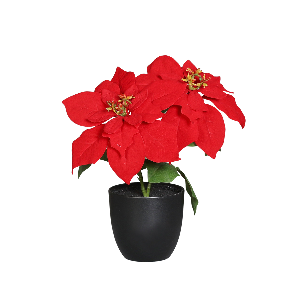 Künstliche Poinsettia - Cady, 32 cm, Kunstpflanze von aplanta, in Natur, für drinnen