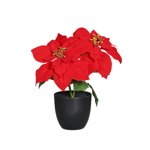 Künstliche Poinsettia - Cady, 32 cm, Kunstpflanze von aplanta, in Natur, für drinnen