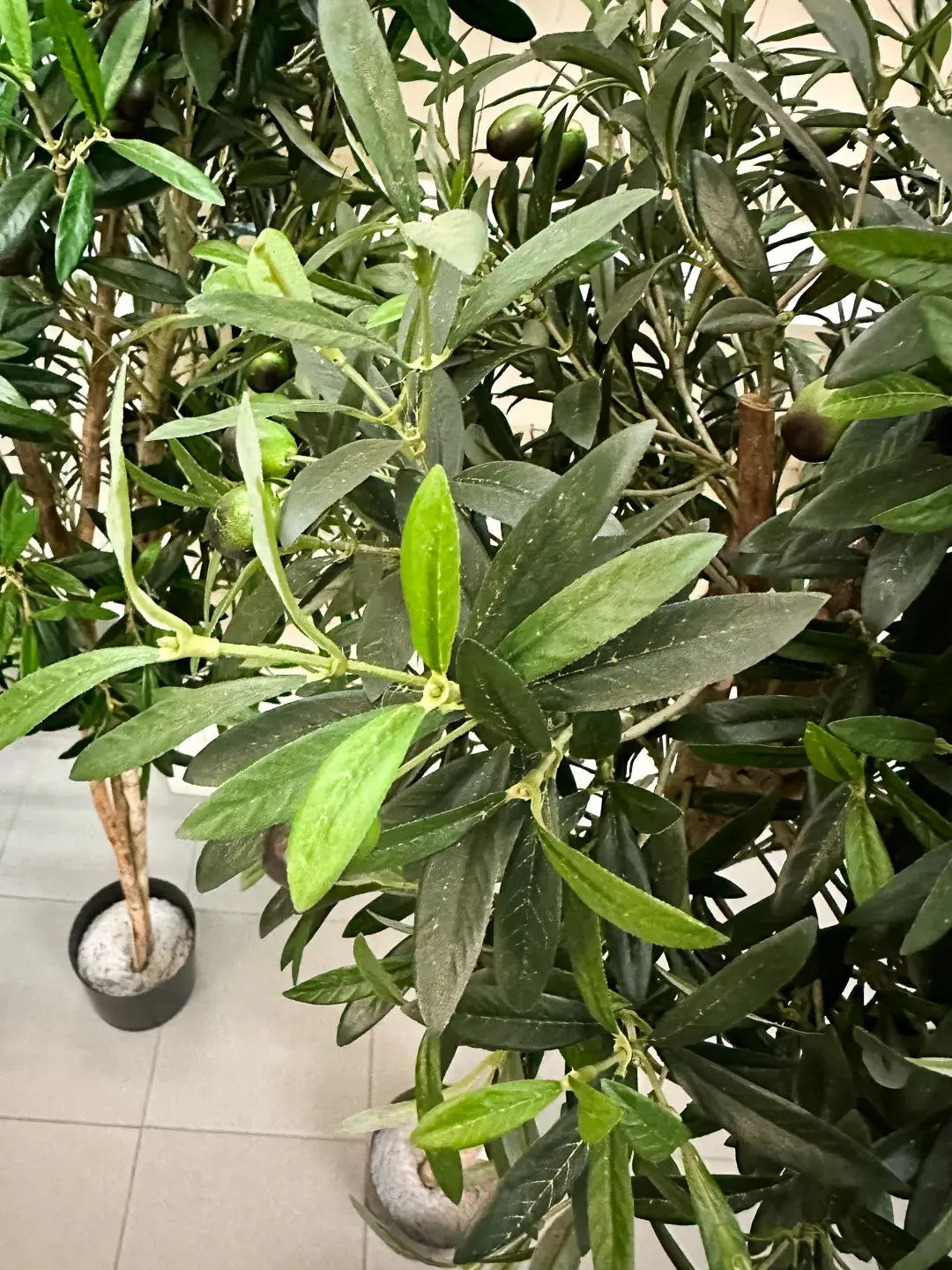 Künstlicher Olivenbaum - Ian, 170 cm, Kunstbaum von aplanta, mit Echtholzstamm, in Natur, für drinnen