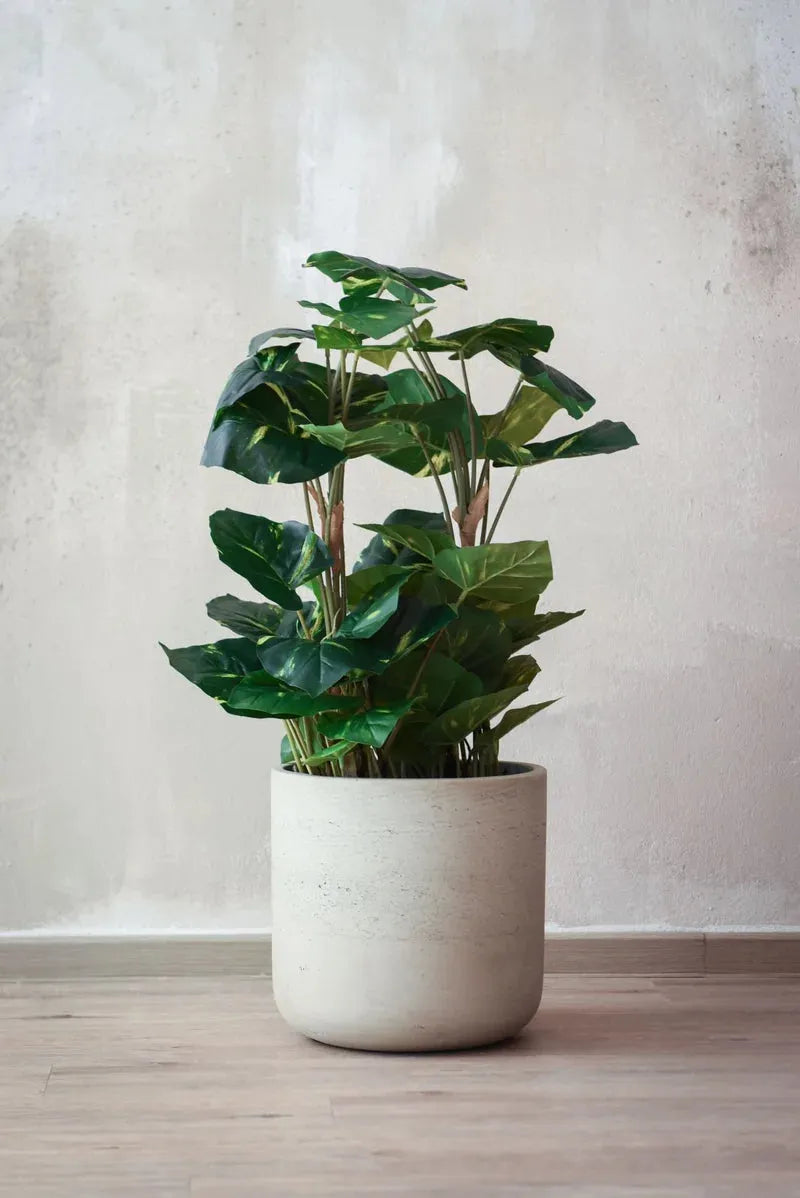Blumentopf - Nole, 32x31cm, Pflanzkübel von aplanta, in Beige, für drinnen & draußen