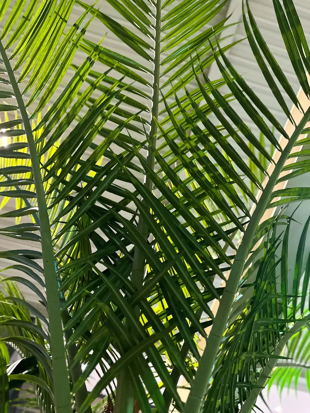 Künstliche Dattelpalme - Kian, 180 cm, Kunstbaum von aplanta, in Natur, für drinnen