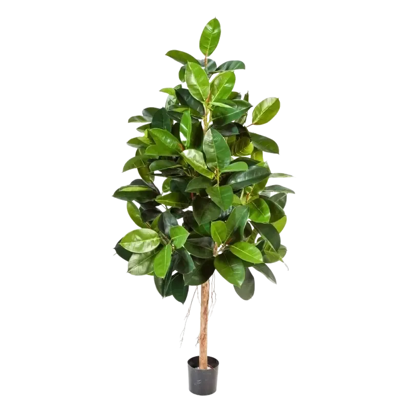 Künstlicher Gummibaum - Karim, 140 cm, Kunstbaum von aplanta, mit Echtholzstamm, im schwarzen Topf, in Natur, für drinnen