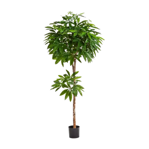 Künstliche Glückskastanie - Owen, 180 cm, Kunstbaum von aplanta, feuerhemmend, 180 cm feuerhemmend, in Grün, für drinnen