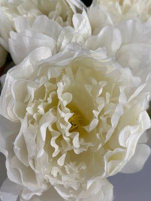 Künstliche Pfingstrose - Francesca, 30 cm, Kunstblume von aplanta, in Creme, für drinnen