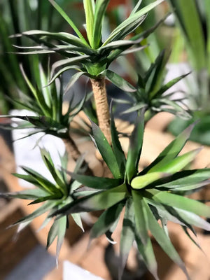 Künstliche Agave - Prince, 70 cm, Kunstbaum von aplanta, im schwarzen Topf, in Natur, für drinnen