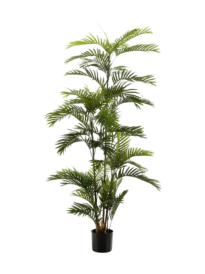 Künstliche Phoenix Palme - Kira, 180 cm, Kunstbaum von aplanta, im schwarzen Topf, in Natur, für drinnen