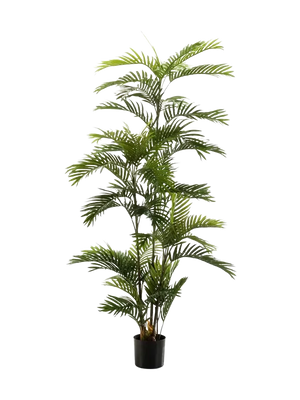 Künstliche Phoenix Palme - Kira, 180 cm, Kunstbaum von aplanta, im schwarzen Topf, in Natur, für drinnen