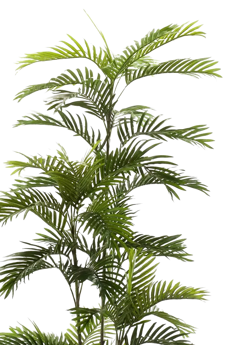 Künstliche Phoenix Palme - Kira, 180 cm, Kunstbaum von aplanta, im schwarzen Topf, in Natur, für drinnen