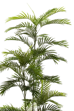 Künstliche Phoenix Palme - Kira, 180 cm, Kunstbaum von aplanta, im schwarzen Topf, in Natur, für drinnen