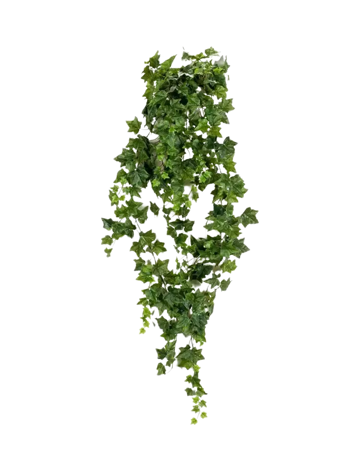 Künstlicher Hänge-Efeu - Lennart, 180 cm, Kunstpflanze von aplanta, Steckpflanze, in Natur, für drinnen
