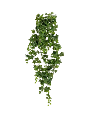 Künstlicher Hänge-Efeu - Lennart, 180 cm, Kunstpflanze von aplanta, Steckpflanze, in Natur, für drinnen