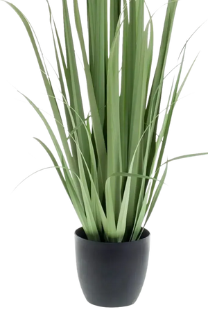 Künstliches Yucca Gras - Iva, 120 cm, Kunstpflanze von aplanta, in Grün, für drinnen