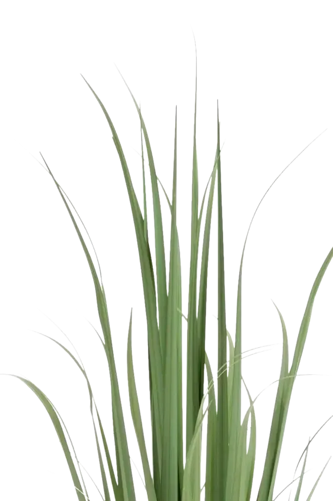 Künstliches Yucca Gras - Iva, 120 cm, Kunstpflanze von aplanta, in Grün, für drinnen