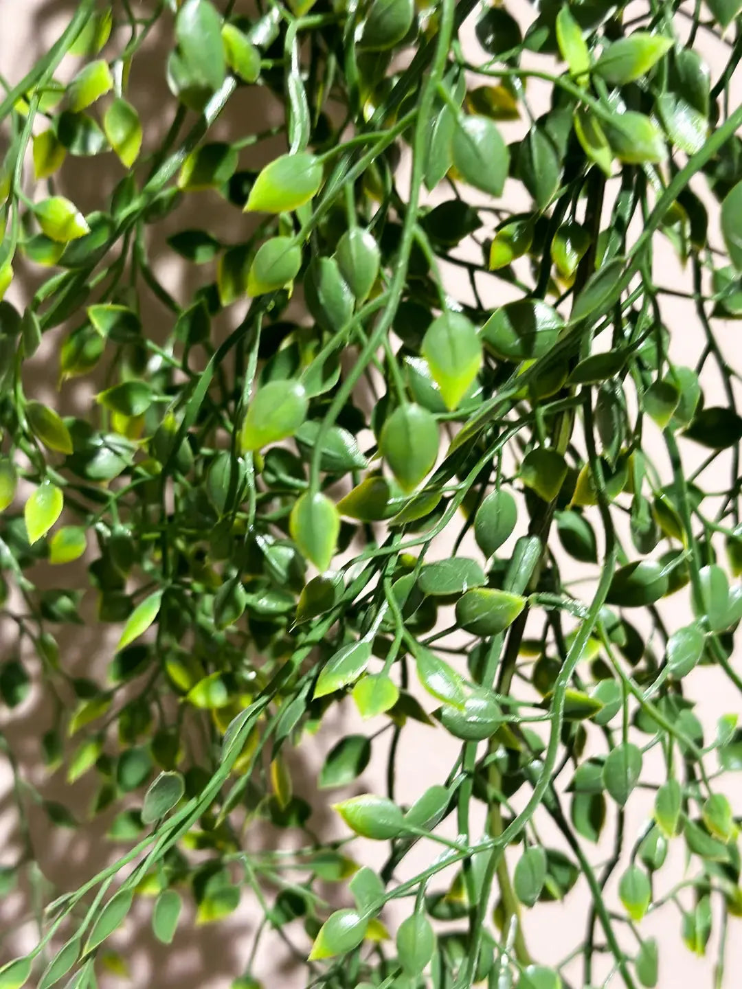 Künstlicher Hänge-Jasmin - Levin, 80 cm, Kunstpflanze von aplanta, Steckpflanze, in Natur, für drinnen