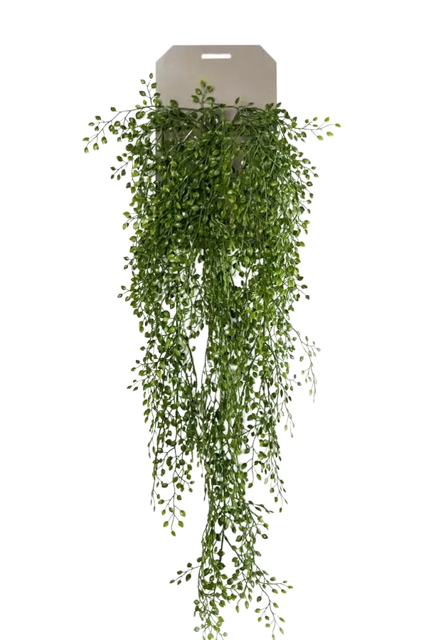 Künstlicher Hänge-Jasmin - Levin, 80 cm, Kunstpflanze von aplanta, Steckpflanze, in Natur, für drinnen