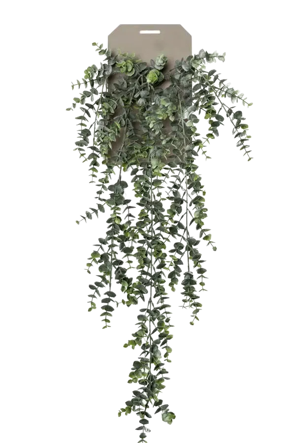 Künstlicher Hänge-Eucalyptus - Richard, 75 cm, Kunstpflanze von aplanta, Steckpflanze, in Natur, für drinnen