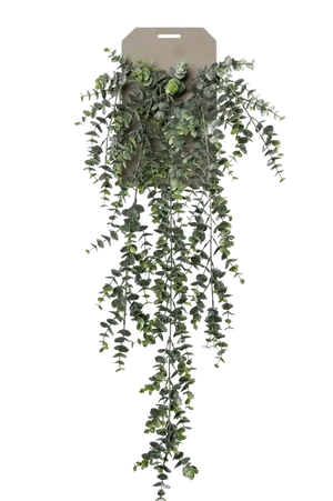 Künstlicher Hänge-Eucalyptus - Richard, 75 cm, Kunstpflanze von aplanta, Steckpflanze, in Natur, für drinnen