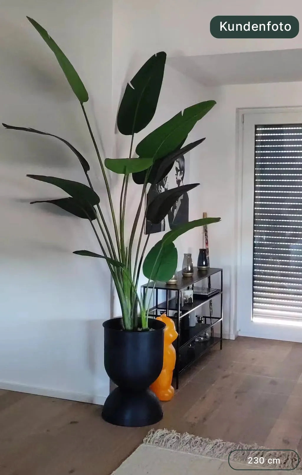 Künstliche Strelitzia - Josephine, 230 cm, Kunstbaum von aplanta, in Natur, für drinnen